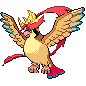 Mega Pidgeot