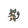 Alolan Rattata