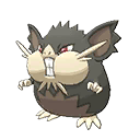 Totem Alolan Raticate