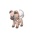 Own Tempo Rockruff