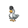 Squawkabilly