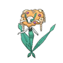 Florges Orange
