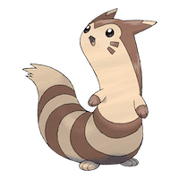 Furret