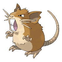 Raticate