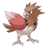 Spearow