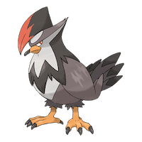 Staraptor