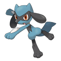 Riolu