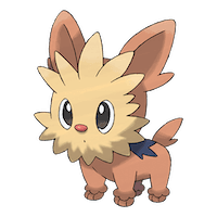 Lillipup
