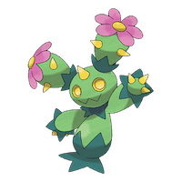 Maractus