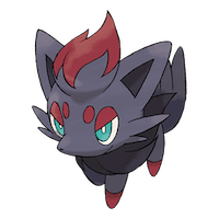 Zorua
