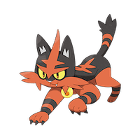 Torracat