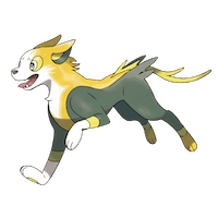 Boltund
