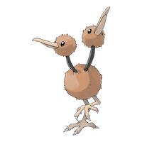 Doduo