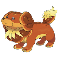 Dachsbun