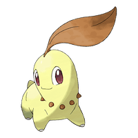 Chikorita