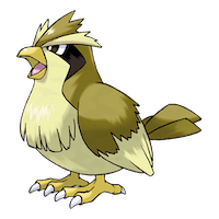 Pidgey