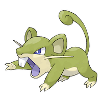 Rattata