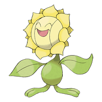 Sunflora