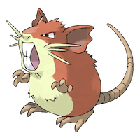 Raticate