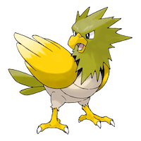 Spearow