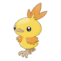Torchic
