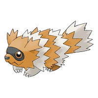 Zigzagoon