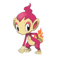 Chimchar