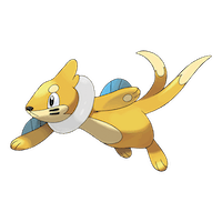 Buizel