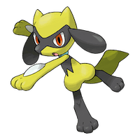 Riolu