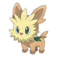 Lillipup