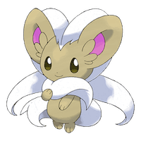 Cinccino