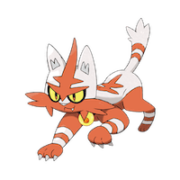Torracat