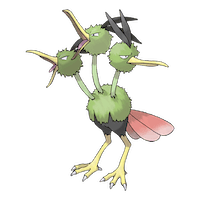 Dodrio
