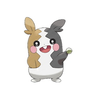 Morpeko